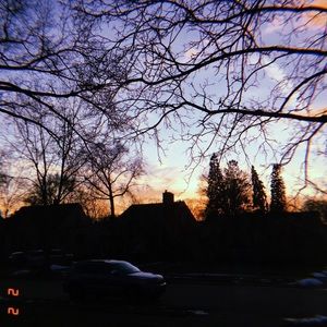 Meet your Posher, Lara